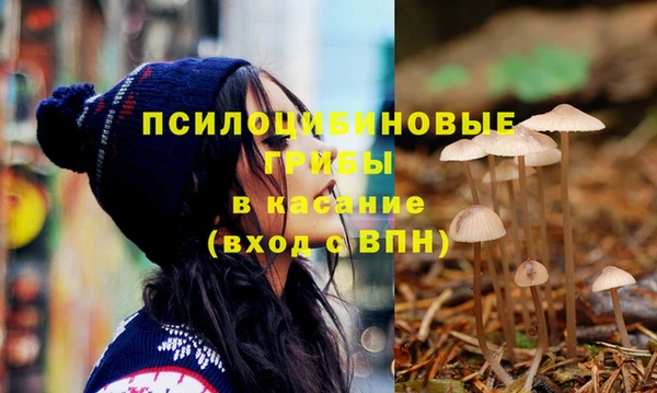 apvp Зеленокумск