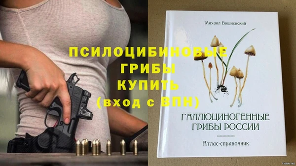 apvp Зеленокумск