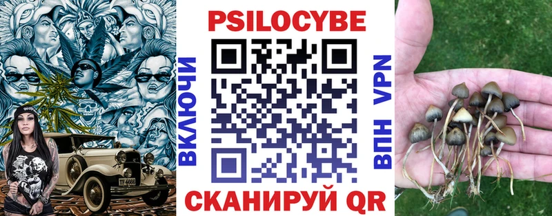 Купить  Кубинка  Псилоцибиновые грибы Magic Shrooms 